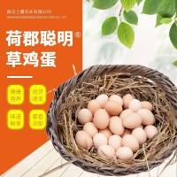 定制荷郡聰明草雞蛋 新鮮土雞蛋農(nóng)家散養(yǎng)農(nóng)村營養(yǎng)30枚60枚現(xiàn)撿